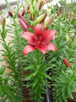 [5080 Red Rock No01.JPG]